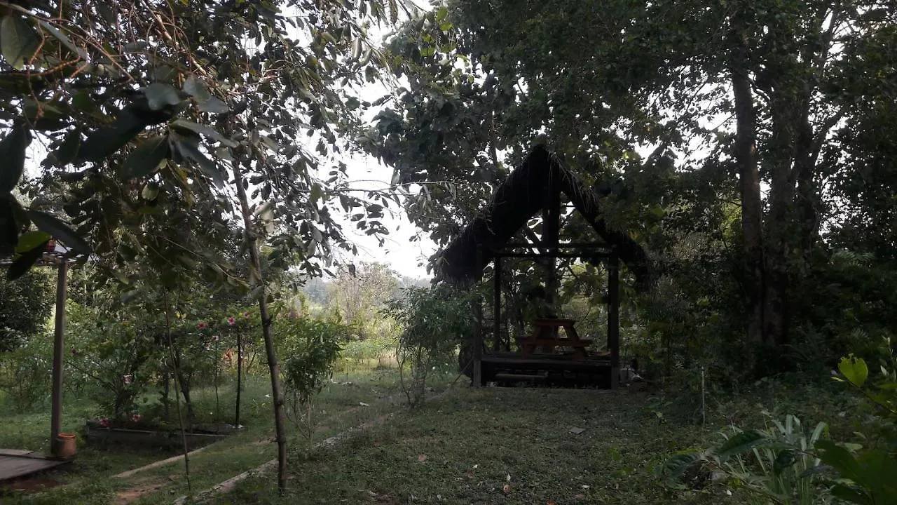 Private Cabin And Private Kitchen - Experience Serenity, And Beautiful Nature Sigiriya Apartment