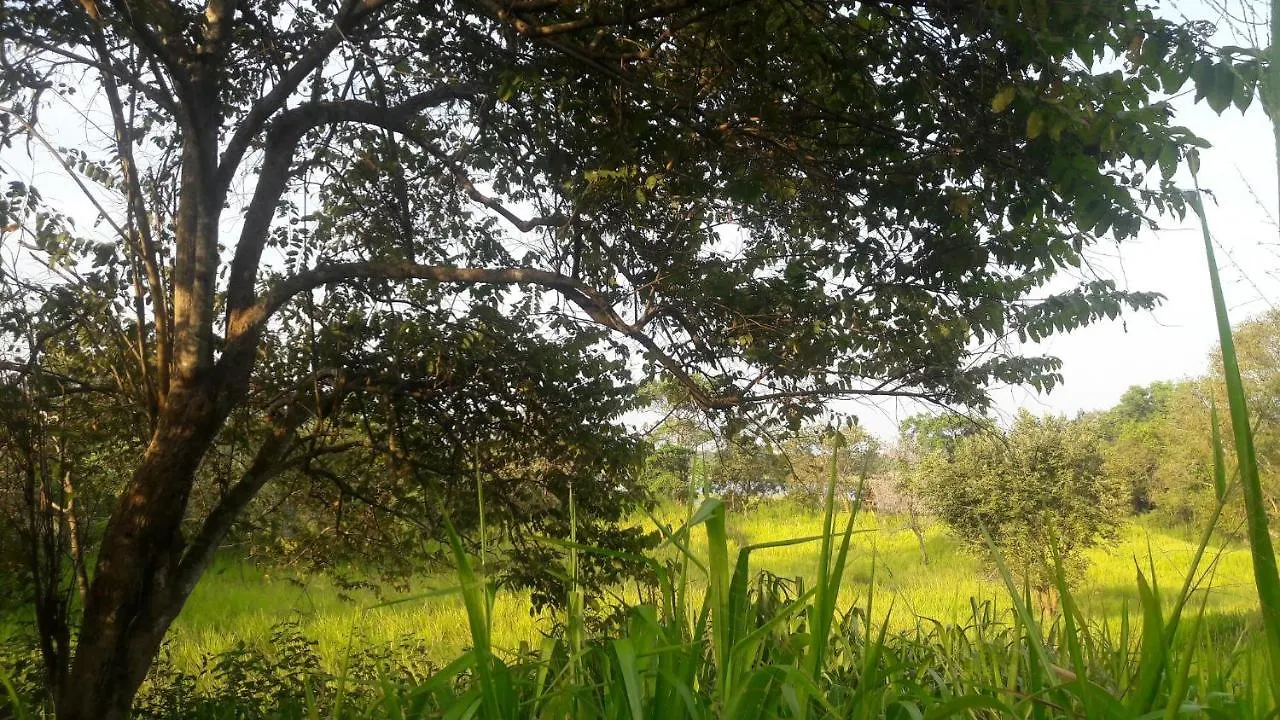Apartment Private Cabin And Private Kitchen - Experience Serenity, And Beautiful Nature Sigiriya