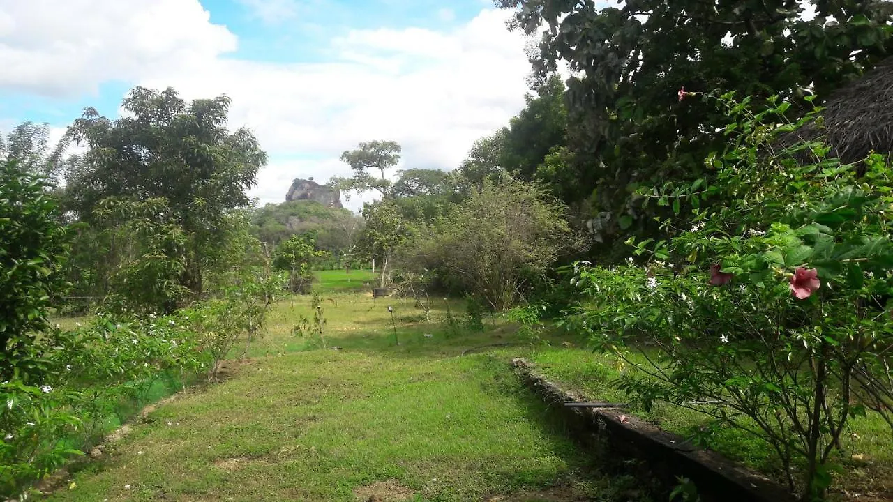 Private Cabin And Private Kitchen - Experience Serenity, And Beautiful Nature Sigiriya Sri Lanka