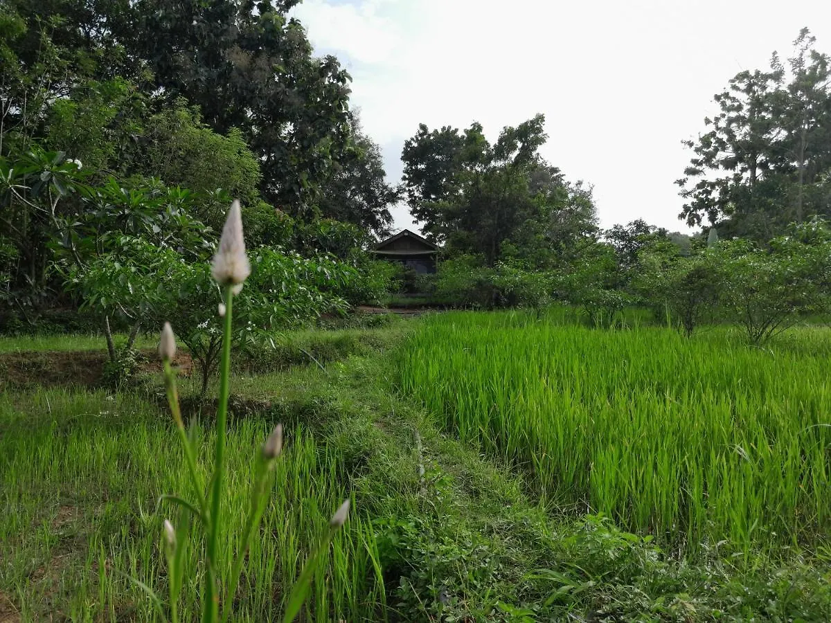 Private Cabin And Private Kitchen - Experience Serenity, And Beautiful Nature Sigiriya