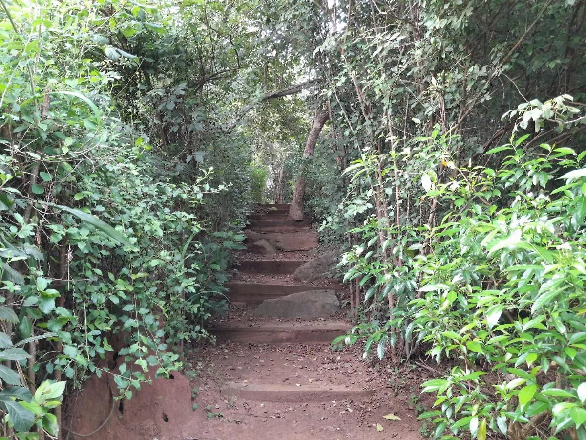 Apartment Private Cabin And Private Kitchen - Experience Serenity, And Beautiful Nature Sigiriya