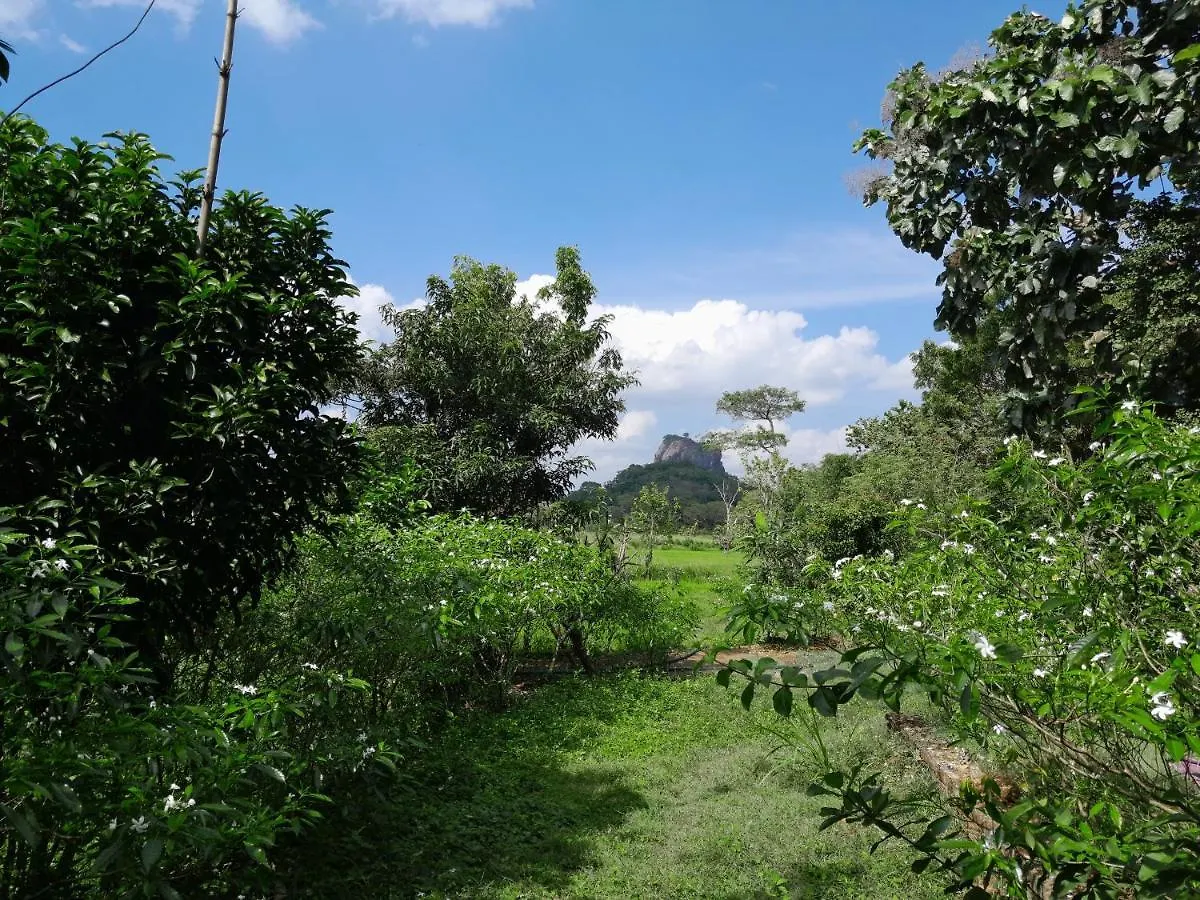 Private Cabin And Private Kitchen - Experience Serenity, And Beautiful Nature Sigiriya Apartment