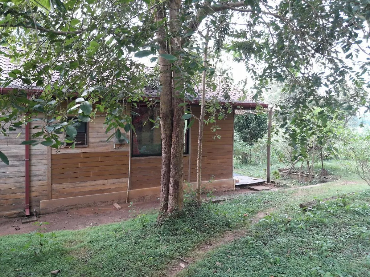 Apartment Private Cabin And Private Kitchen - Experience Serenity, And Beautiful Nature Sigiriya Sri Lanka