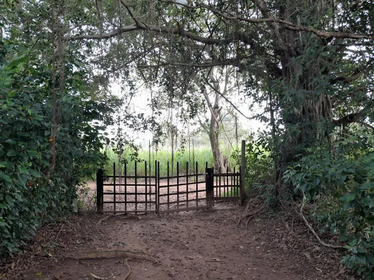 Private Cabin And Private Kitchen - Experience Serenity, And Beautiful Nature Sigiriya 0*,