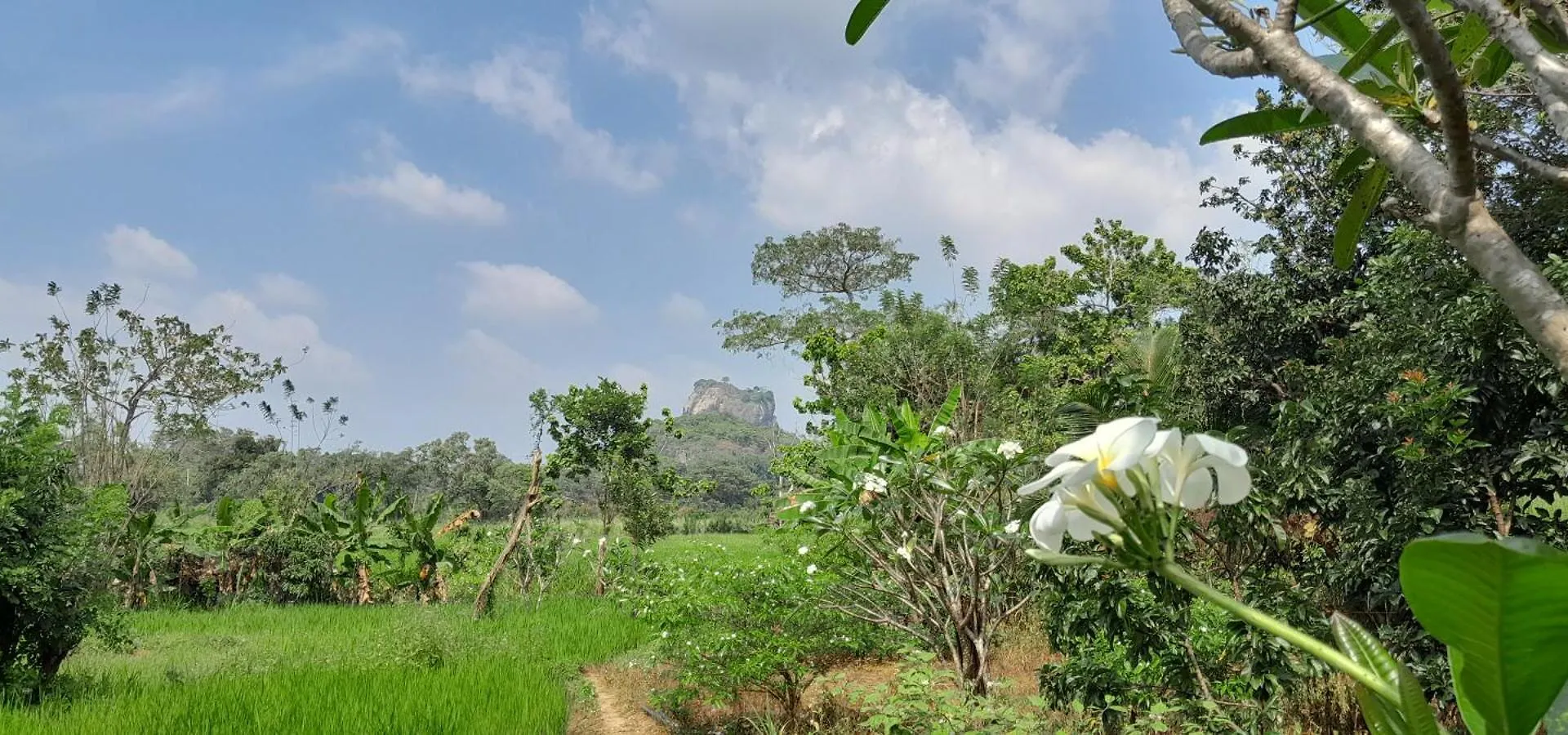 Private Cabin And Private Kitchen - Experience Serenity, And Beautiful Nature Sigiriya Sri Lanka